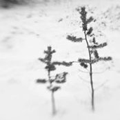 Valentina Bunic's photo