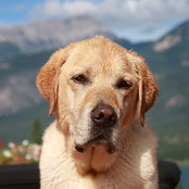 Michelle Fournier's photo