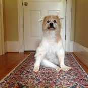 Susan Atkins's photo