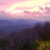 Ellen Sharp's photo