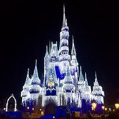 Dana Lemaster-Schipani's photo