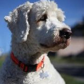 David Smith's photo