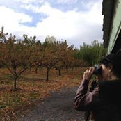 Leila Kirske's photo