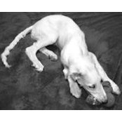 Wendy Erdman's photo