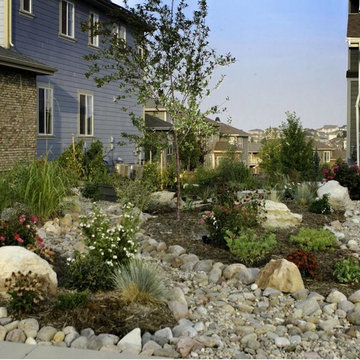 Lawn Alternatives