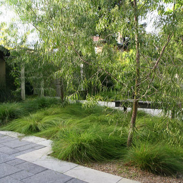 Concrete columns in Palo Alto