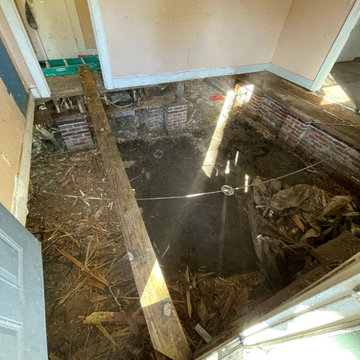 Termite Damage Is at it Again
