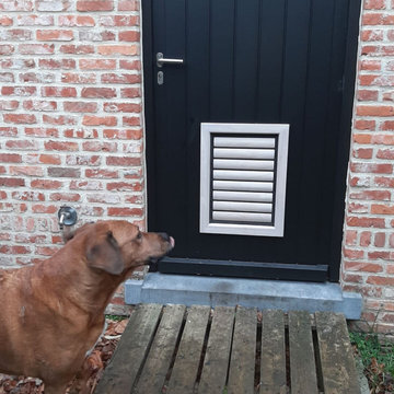Dog door - Beethoven - extra large
