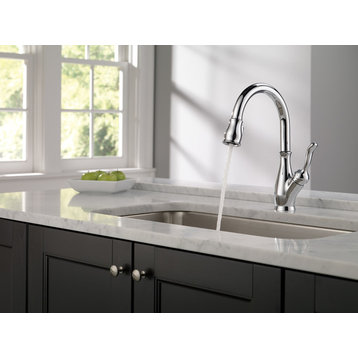Delta Leland Pull-Down Kitchen Faucet With ShieldSpray Technology, Chrome