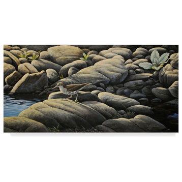 Wilhelm Goebel 'Along The Creek' Canvas Art, 24"x12"