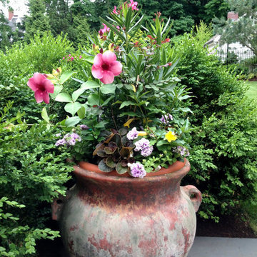 Container Planting Designs