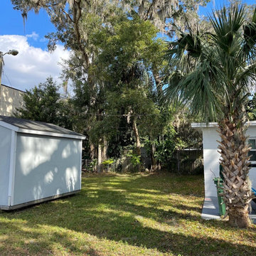 Lawn Cleanup