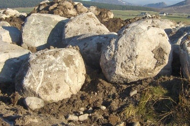 Irish Glacial Granite Round Boulders for landscaping
