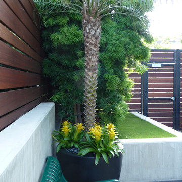 Mangaris screen and gate