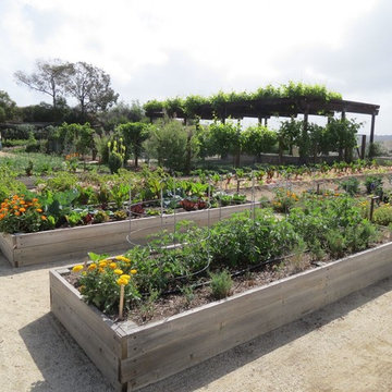 Urban Farms