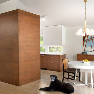 Midcentury Renovation