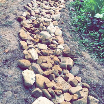 Dry Creek Beds