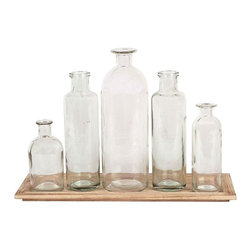 Glass Bottle Vases with Tray (Set of 5) - Vases