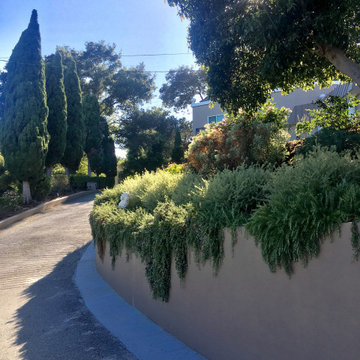 Hillsborough - Mansion
