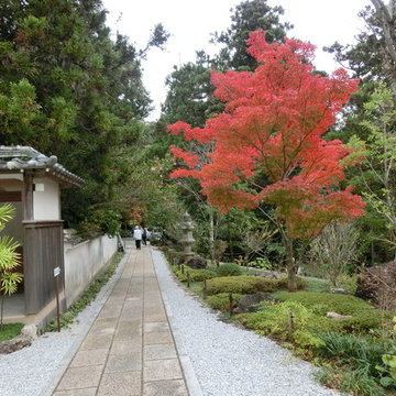 和風の庭