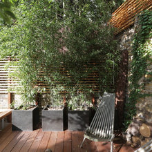 Decking/Patio Area