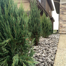 exterior landscaping