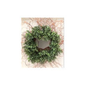 Brenda Lyman's photo