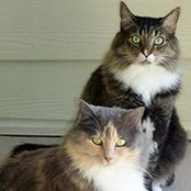 Loretta Lindsey's photo