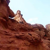 Amitay Cohen's photo