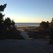 Sarah Elliott's photo