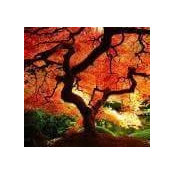Annie Kretchman's photo