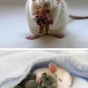 Cheryl Bergen's photo