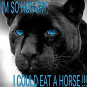 Leslie Fausett's photo