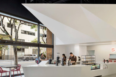 Inspiration for a modern home design remodel in San Francisco