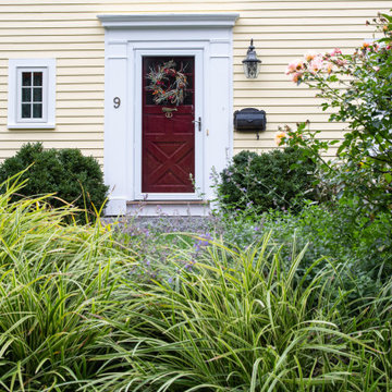 Lush Front Yard