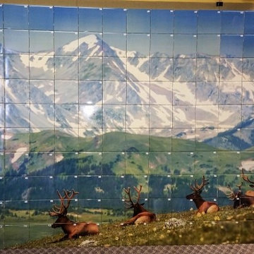 Porcelain Tiled Wall Murals - full images for walls or kitchen backsplash
