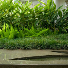 Planting - Tropical