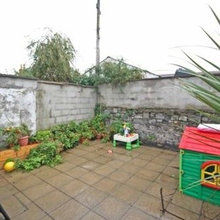 Kevins Garden