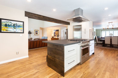 Example of a transitional kitchen design in Denver