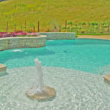 Swimming Pool Fountain, Fireplace and Shear Desents with a Vineyard