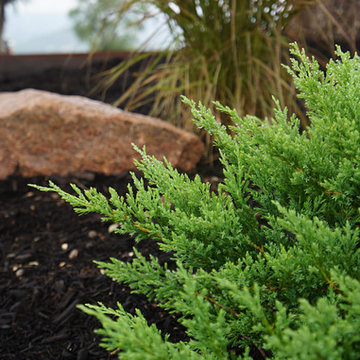 Close Up Of Planter. [Ranchland Hills Residence]