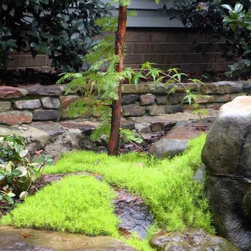 Great Garden Ideas