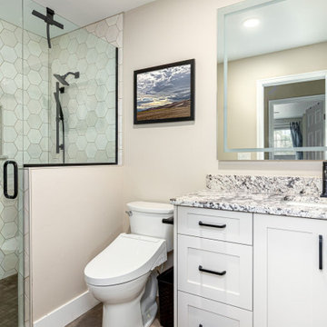 Whole Home Renovation