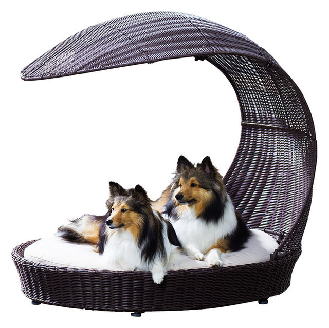 Outdoor Dog Chaise Lounger - Contemporary - Dog Beds - by The Refined ...