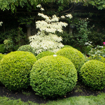 Gamble Garden Spring Tour 2014: Webster