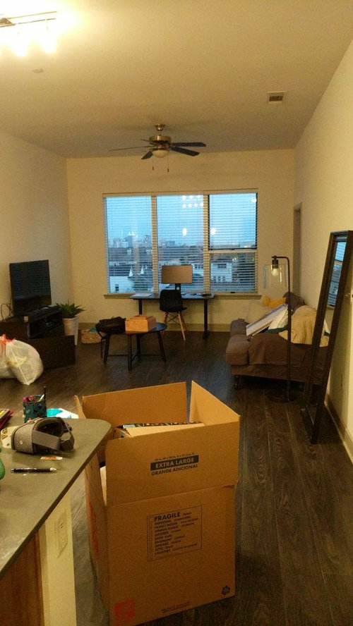 Need a New Rug for Charcoal Couch