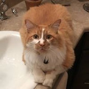 Cynthia Peppe's photo