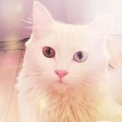 Nesma Ahmed's photo