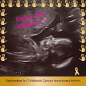 Lauren Williams's photo