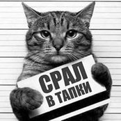 Eugene Galochkin's photo